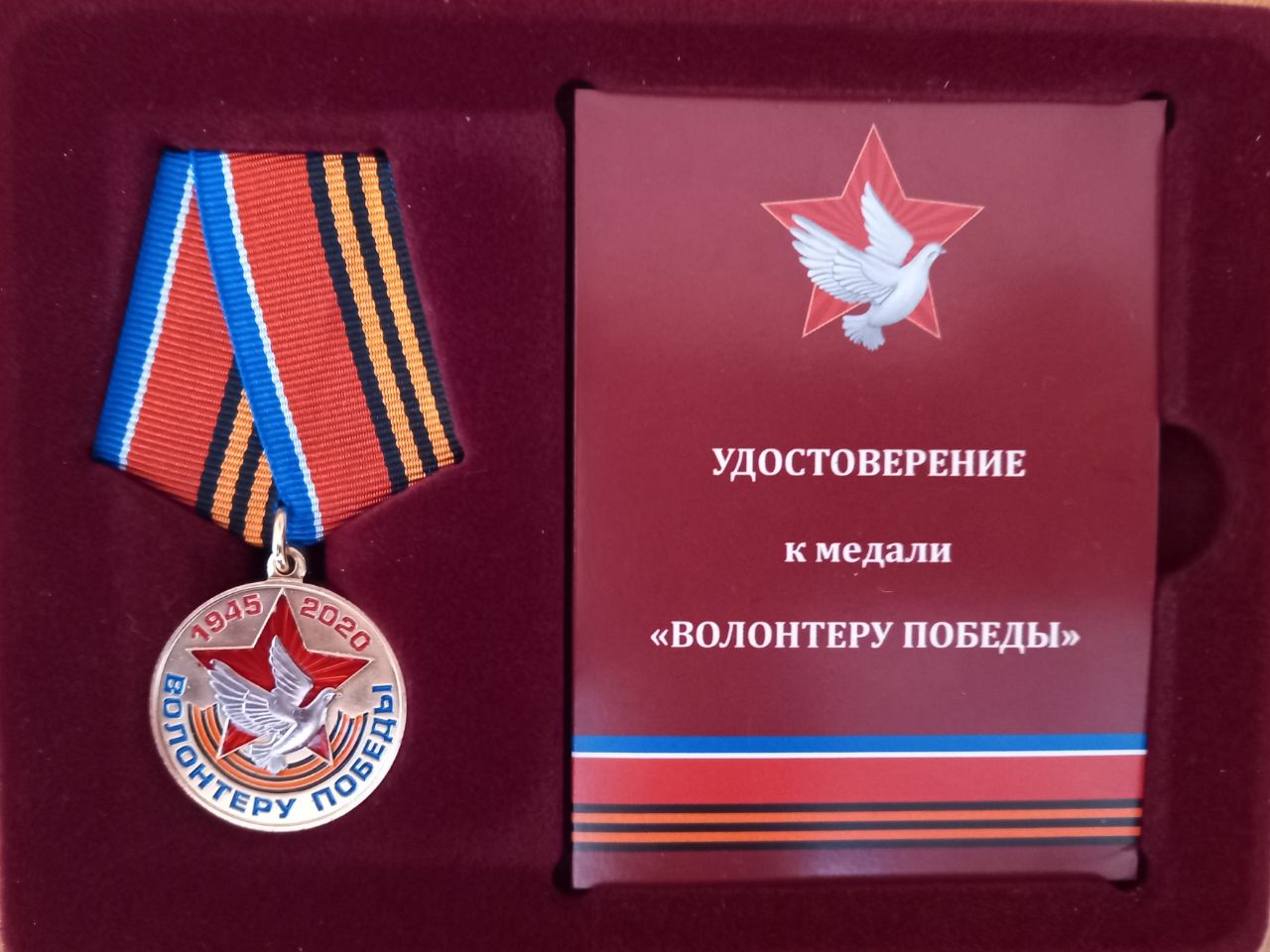 Медаль волонтер сво. Медаль Доброволец. Медаль волонтера. Орден добровольца. Медаль волонтерам ДНР.